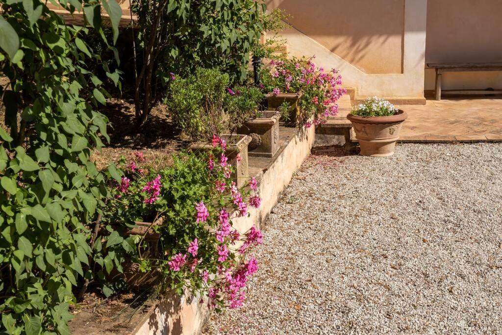 פרוג'ה Apartment In Nature,10Min From City מראה חיצוני תמונה