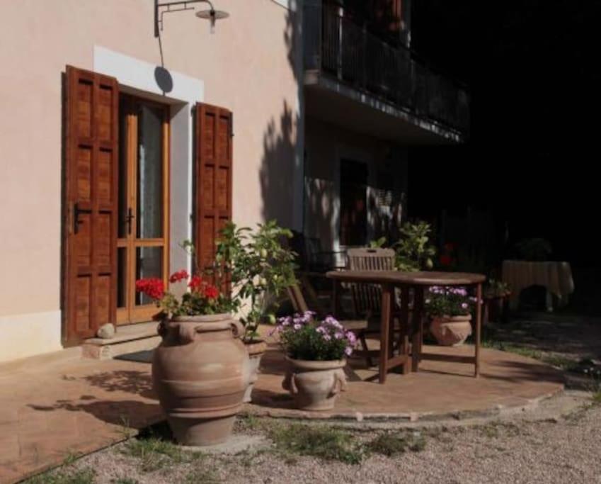 פרוג'ה Apartment In Nature,10Min From City מראה חיצוני תמונה