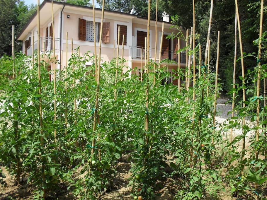 פרוג'ה Apartment In Nature,10Min From City מראה חיצוני תמונה